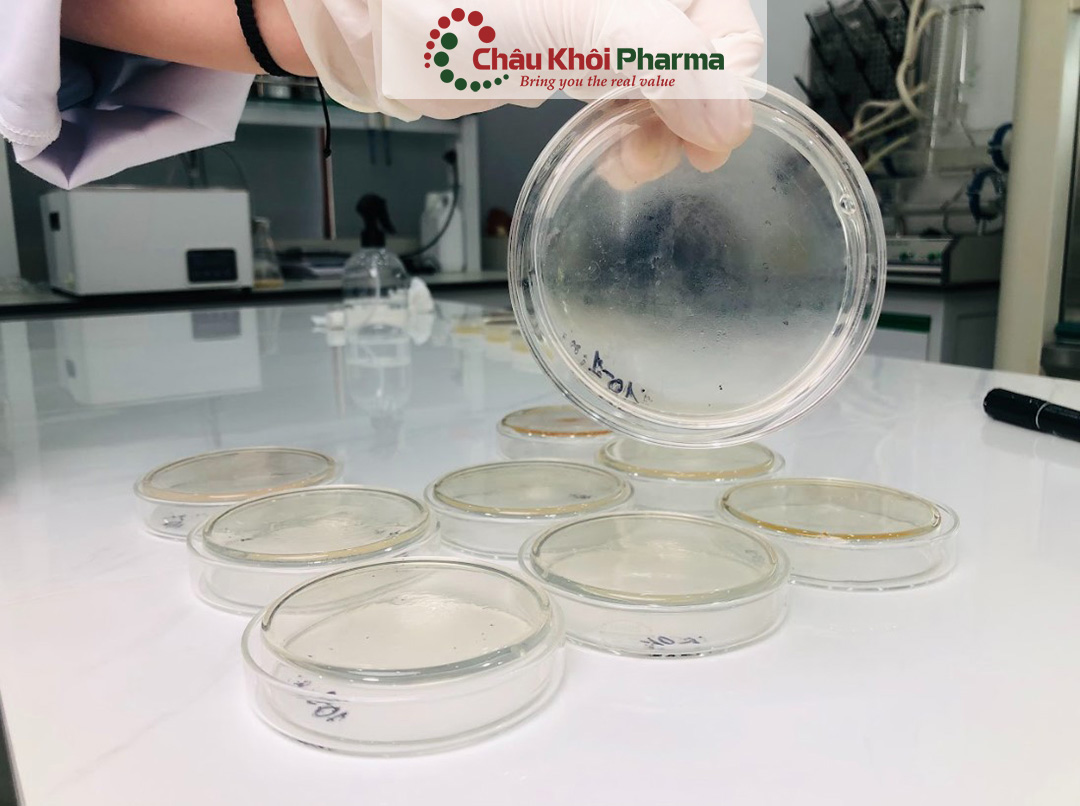 tư vấn chất lượng sản xuất sản phẩm tại Hà Nội