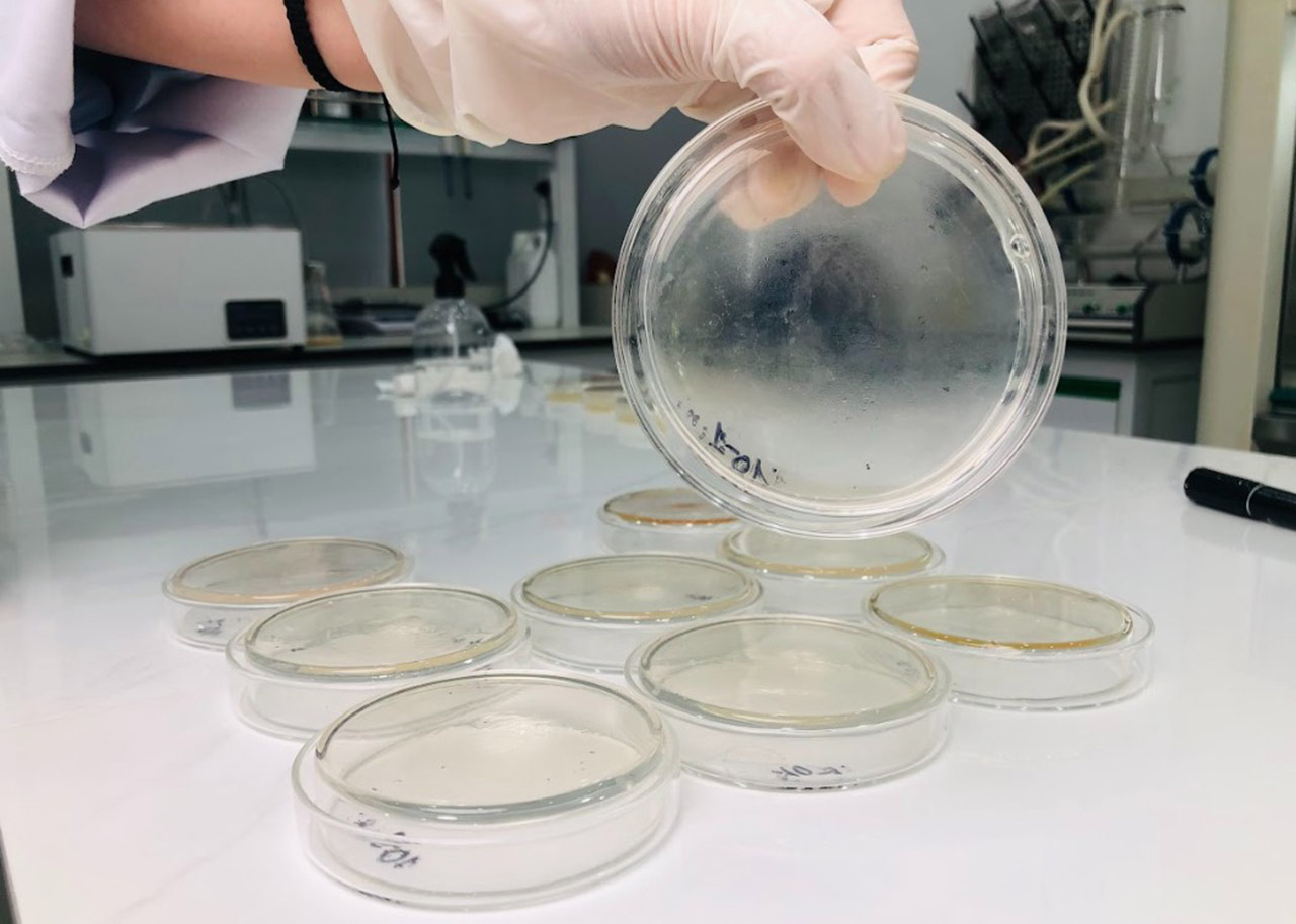 Ch&acirc;u Kh&ocirc;i Pharma kiểm nghiệm chất lượng trong ph&ograve;ng th&iacute; nghiệm