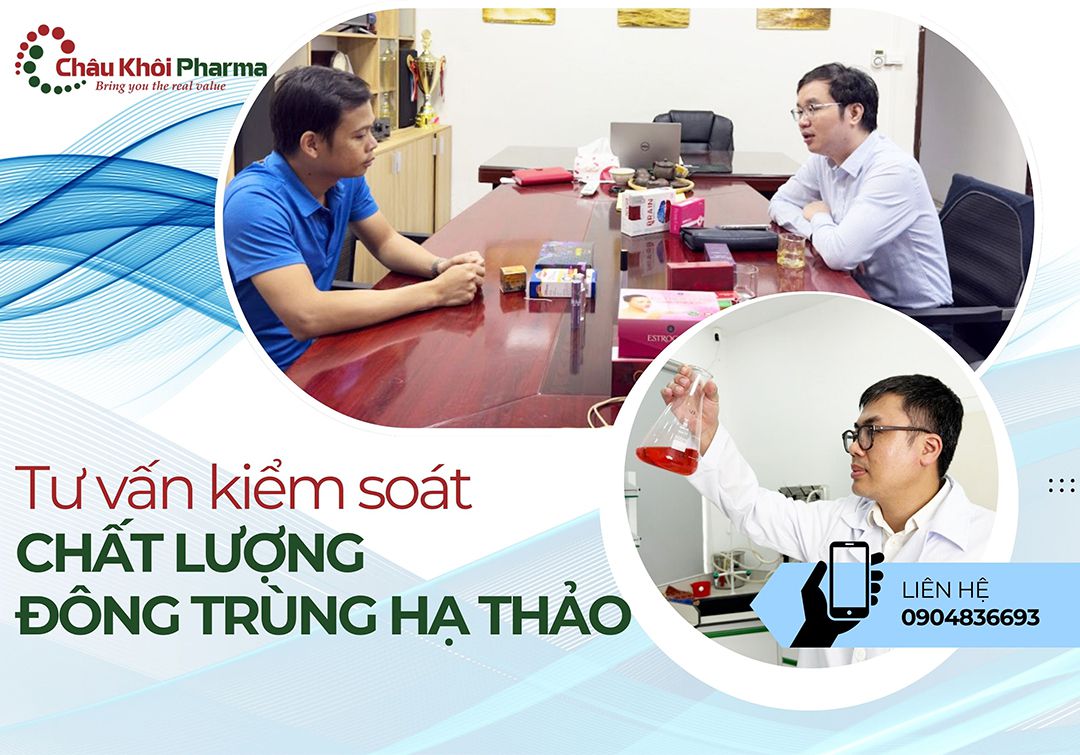 tư vấn kiểm soát chất lượng đông trùng hạ thảo
