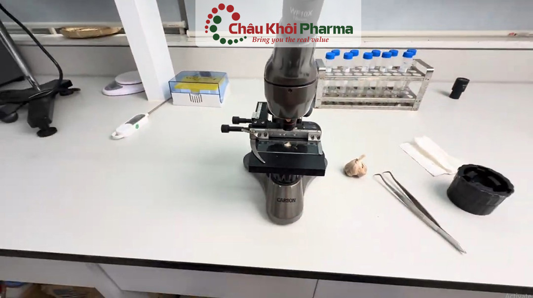 tư vấn kiểm soát chất lượng dược phẩm tại Hà Nội