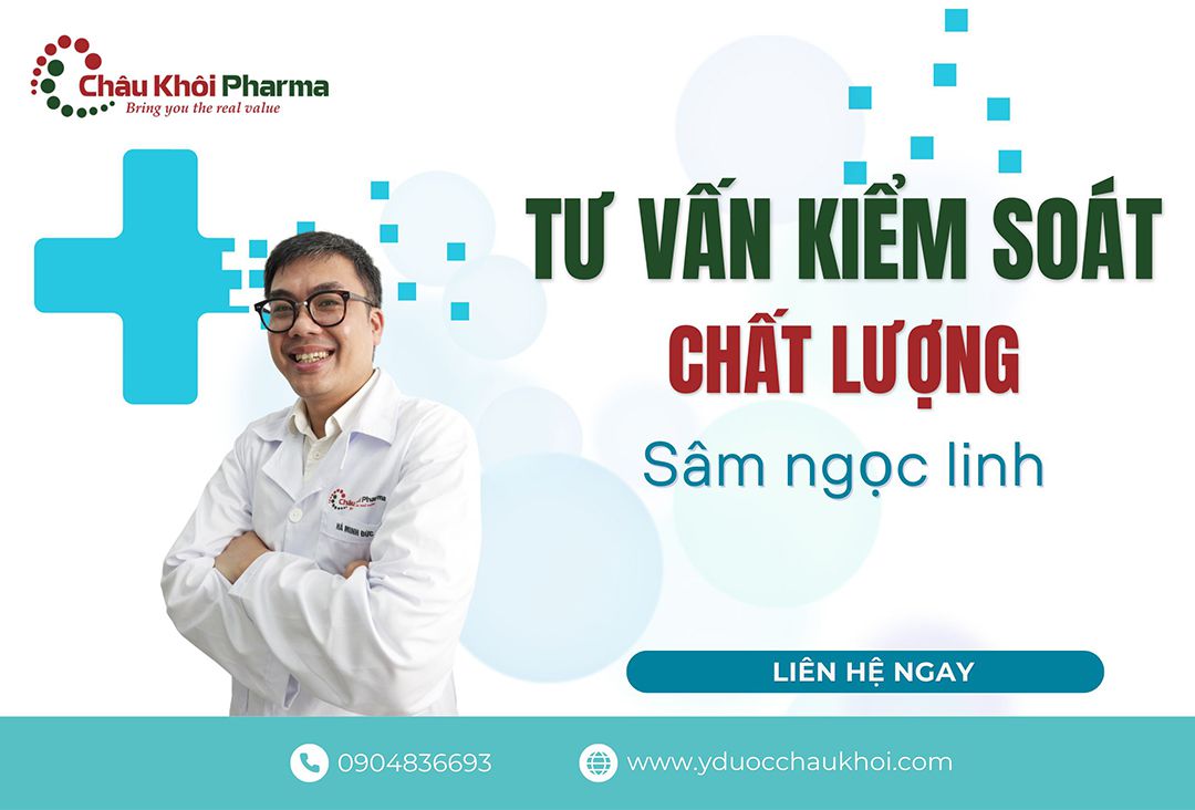 tư vấn kiểm soát chất lượng sâm ngọc linh