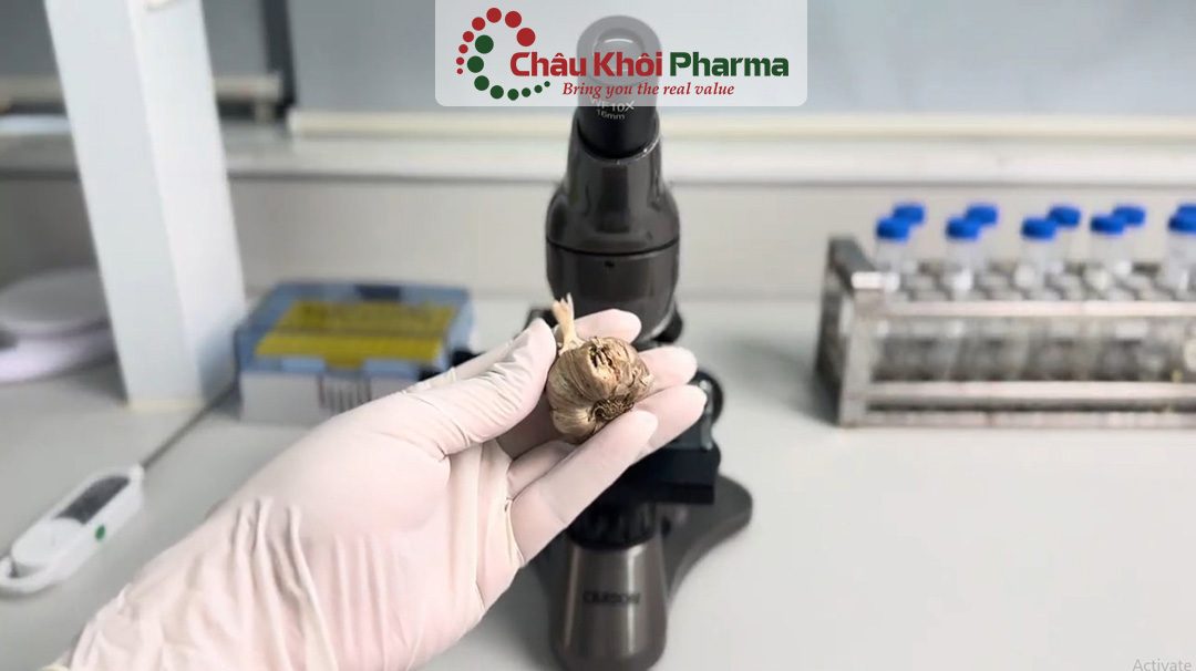 tư vấn kiểm soát chất lượng sản phẩm tại Hà Nội