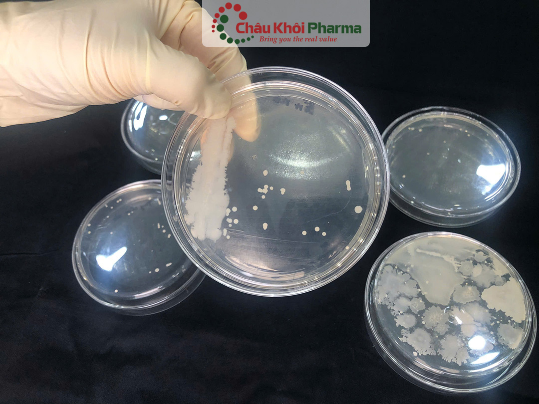 tư vấn kiểm soát chất lượng sản phẩm tại Hà Nội