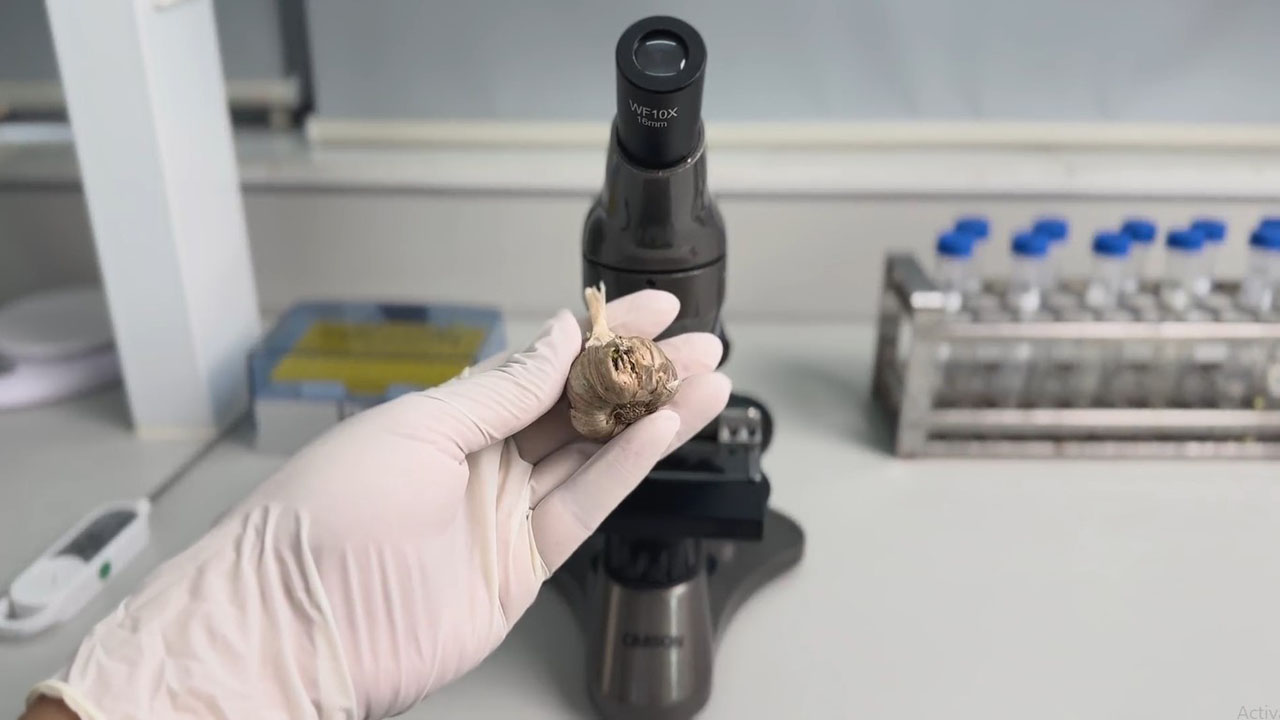 tư vấn kiểm soát chất lượng thức ăn