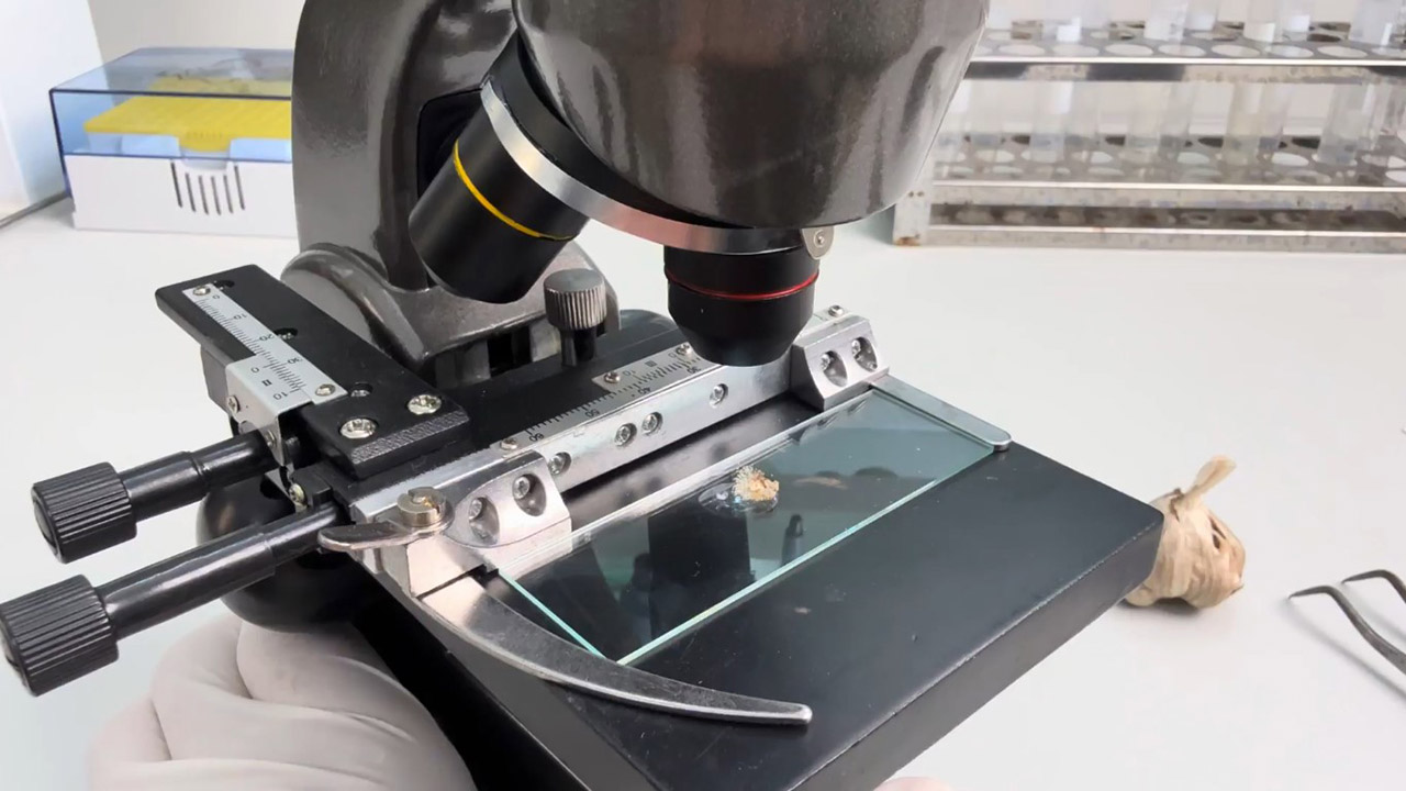 Ch&acirc;u Kh&ocirc;i Pharma kiểm nghiệm chất lượng trong ph&ograve;ng th&iacute; nghiệm