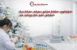 Hồ sơ đánh giá độ ổn định và công bố sản phẩm đạt chuẩn hậu kiểm