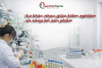 Hồ sơ đánh giá độ ổn định và công bố sản phẩm đạt chuẩn hậu kiểm