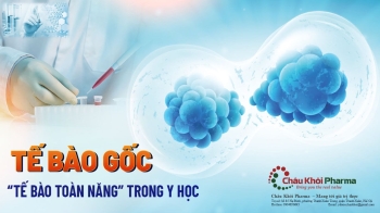 Tế bào gốc - 