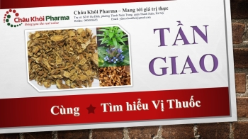 Vị thuốc Tần Giao