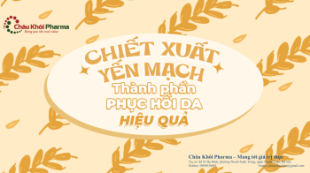 Chiết xuất Yến Mạch - Thành phần phục hồi da hiệu quả