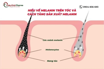 Hiểu về Melanin trên tóc và cách tăng sản xuất Melanin