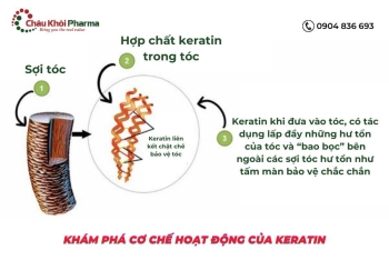 Khám phá cơ chế hoạt động của Keratin