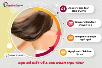 Bạn đã biết: 04 giai đoạn mọc tóc?