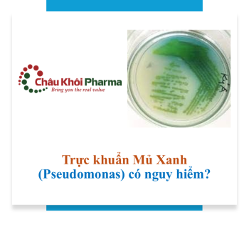 Trực khuẩn mủ xanh (Pseudomonas) có nguy hiểm?